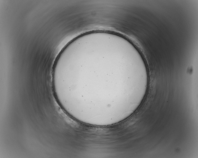 X0000110761287200907061046