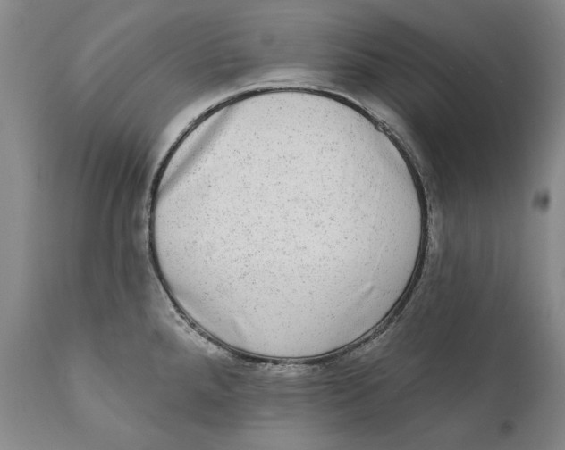 X0000110761288200907061046
