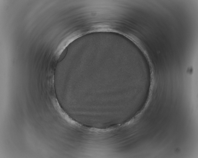 X0000110761289200907061046