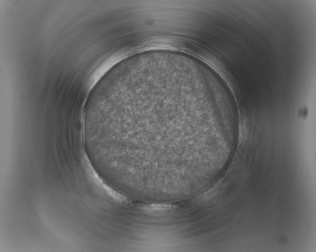 X0000110761290200907061046
