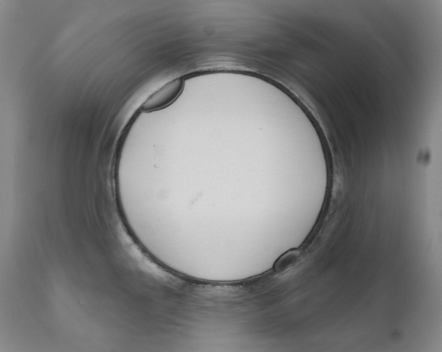 X0000110761293200907061046
