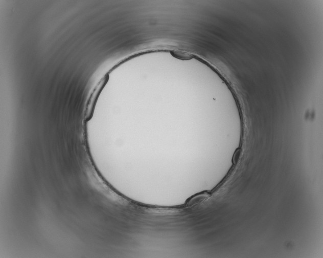 X0000110761296200907061046