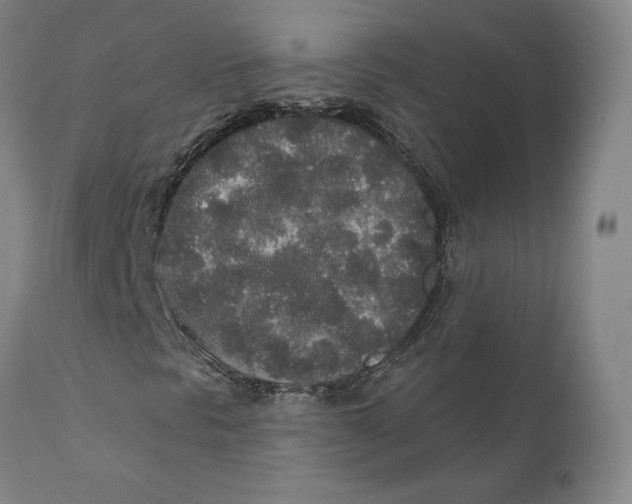 X0000110761297200907061045