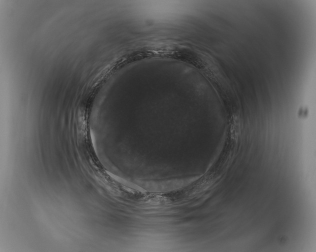 X0000110761298200907061045