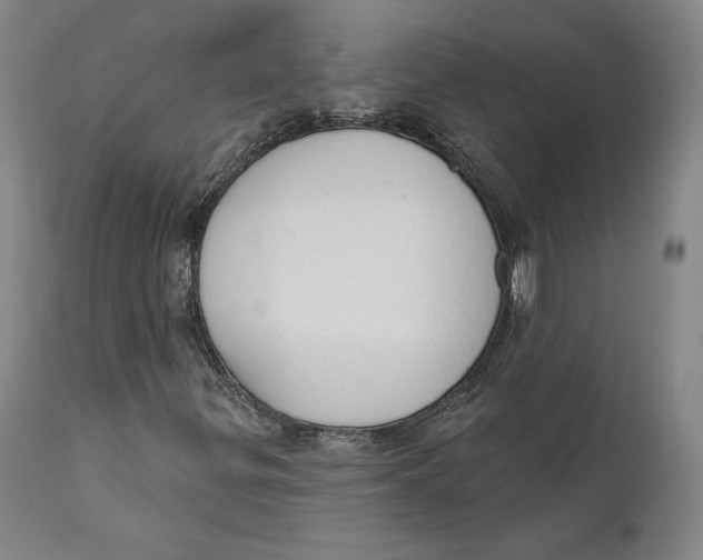 X0000110761299200907061045