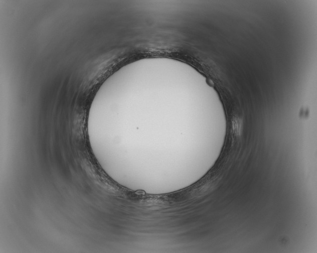 X0000110761300200907061045