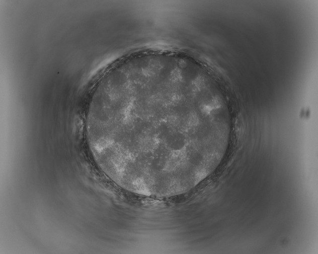 X0000110761302200907061045