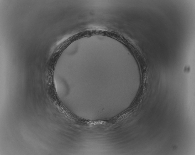 X0000110761303200907061045