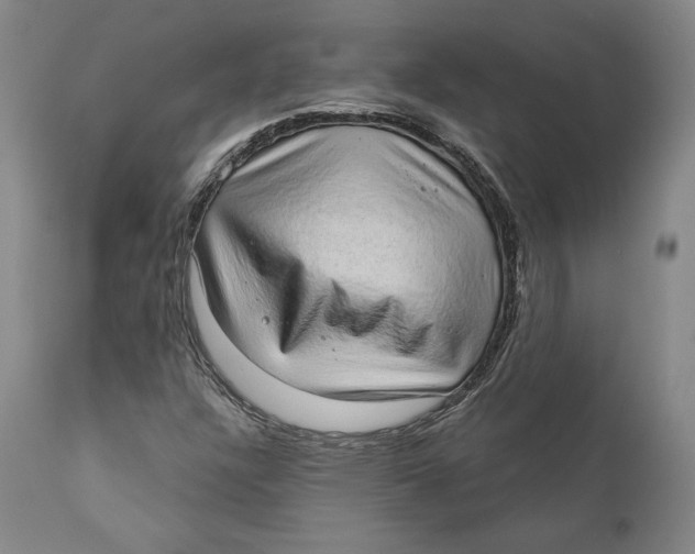 X0000110761304200907061045