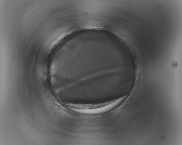 X0000110761306200907061045