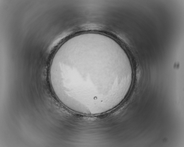 X0000110761309200907061045