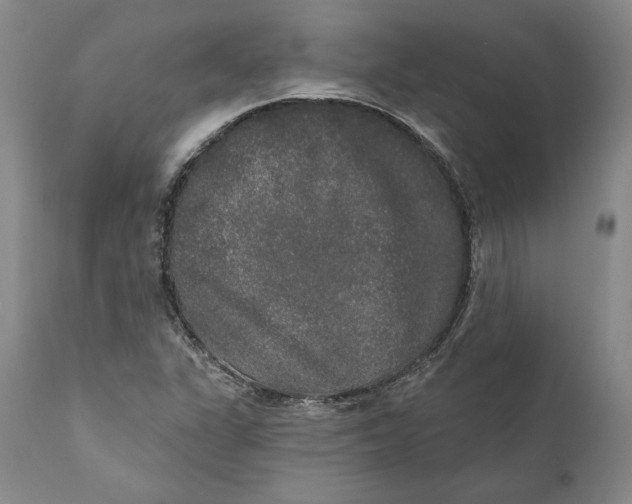 X0000110761311200907061045