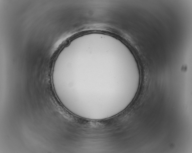 X0000110761312200907061045