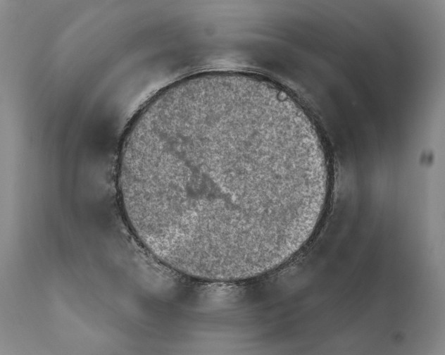 X0000110761314200907061045