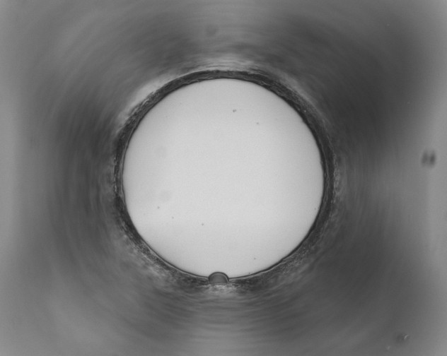 X0000110761315200907061045