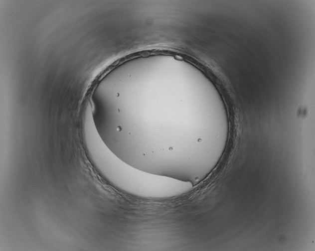 X0000110761316200907061045
