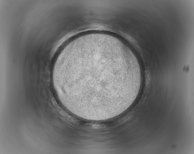 X0000110761318200907061045