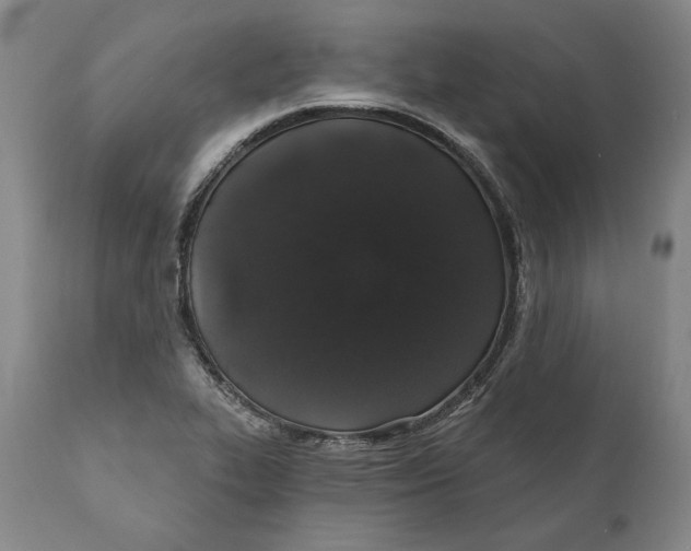 X0000110761319200907061045