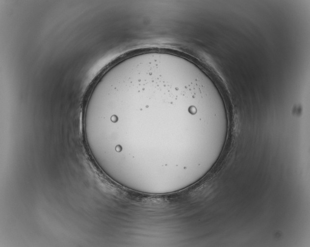 X0000110761320200907061045