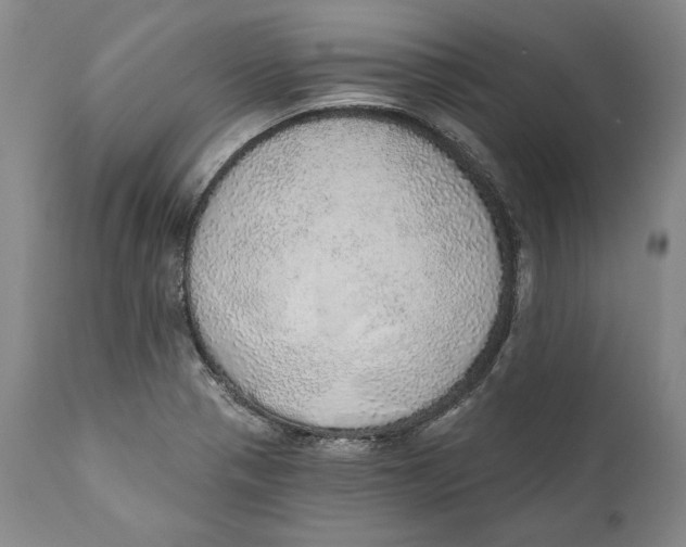 X0000110761321200907061045