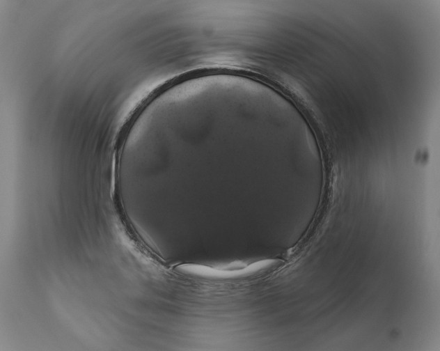 X0000110761323200907061045