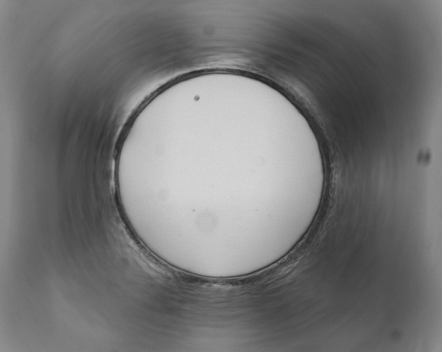 X0000110761324200907061045
