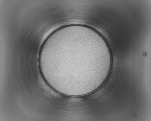 X0000110761325200907061045