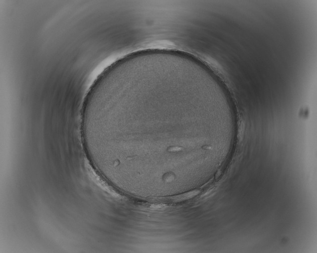 X0000110761326200907061045