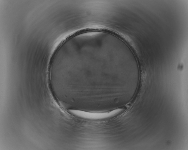 X0000110761327200907061045