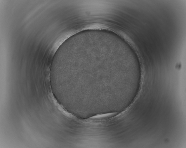X0000110761329200907061045