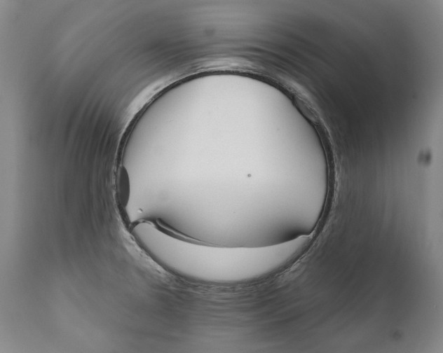 X0000110761330200907061045