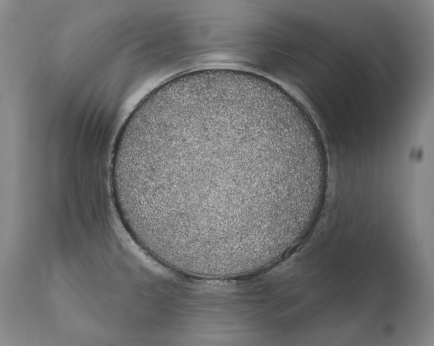 X0000110761333200907061045