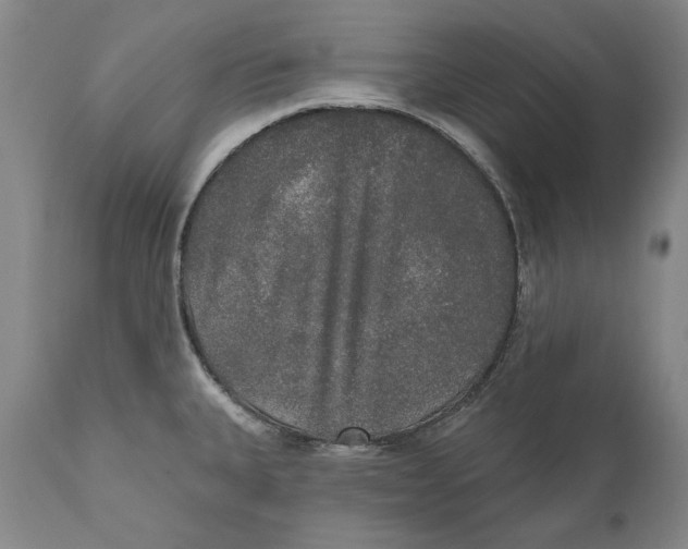X0000110761335200907061045