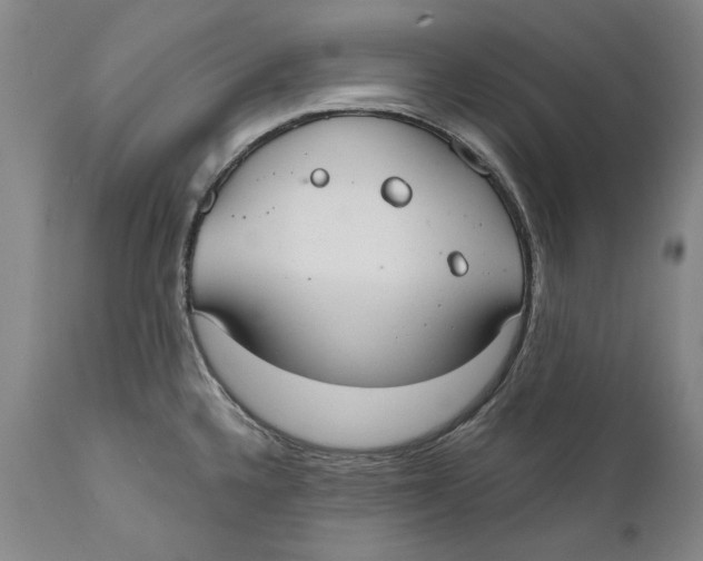 X0000110761336200907061045