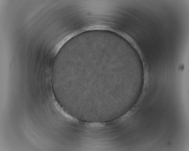 X0000110761337200907061045