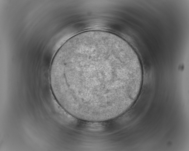 X0000110761338200907061045