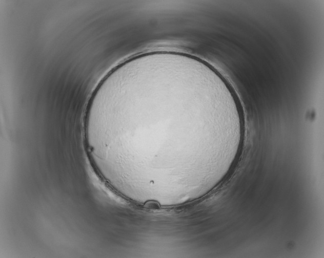 X0000110761341200907061046