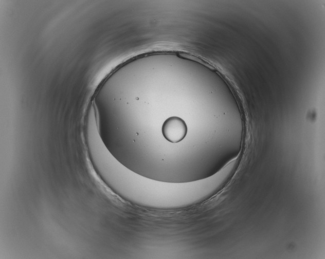 X0000110761342200907061046