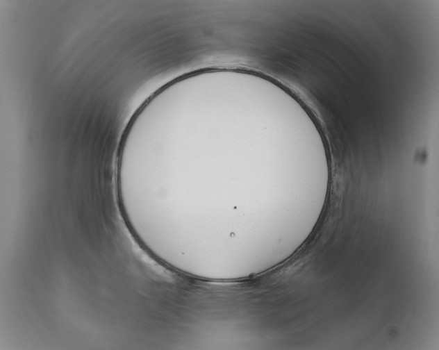 X0000110761343200907061046