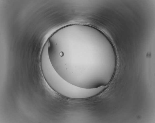 X0000110761344200907061046