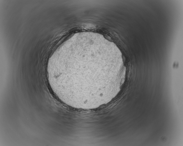 X0000110761345200907061045