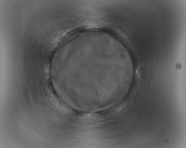 X0000110761348200907061045