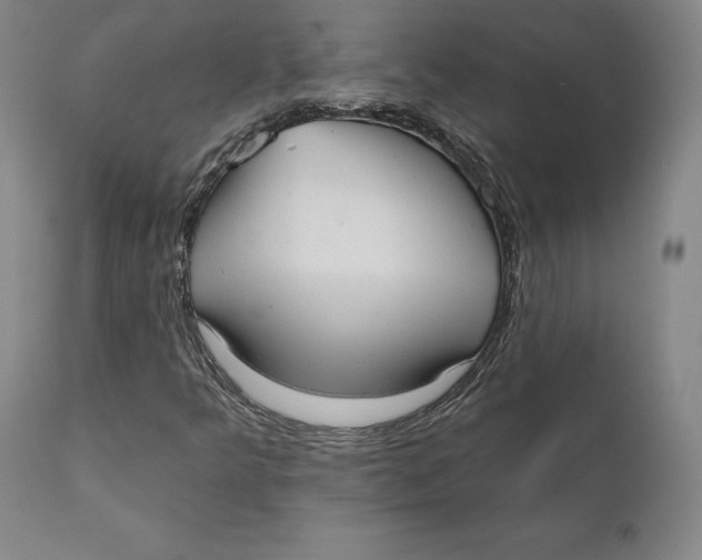 X0000110761349200907061045