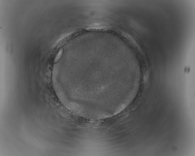 X0000110761350200907061045