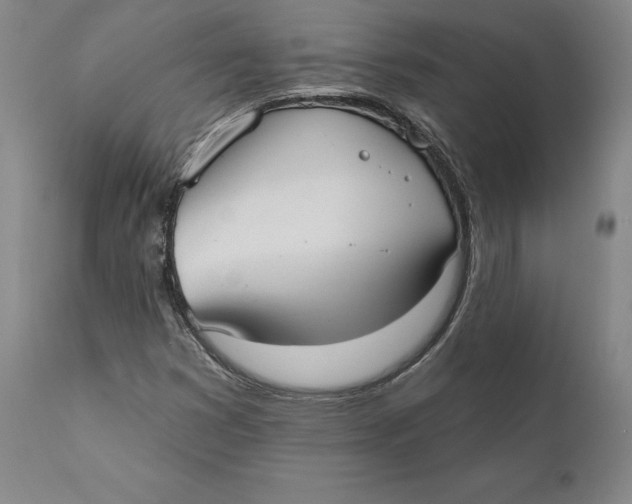 X0000110761353200907061045