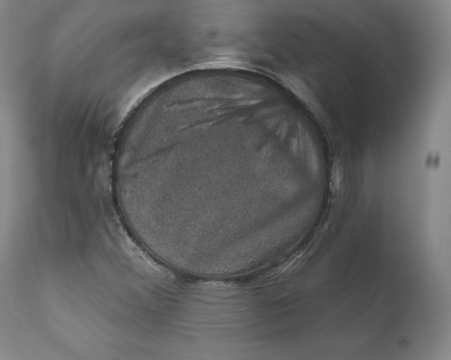 X0000110761356200907061045