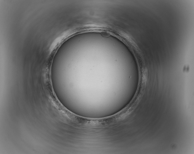 X0000110761357200907061045
