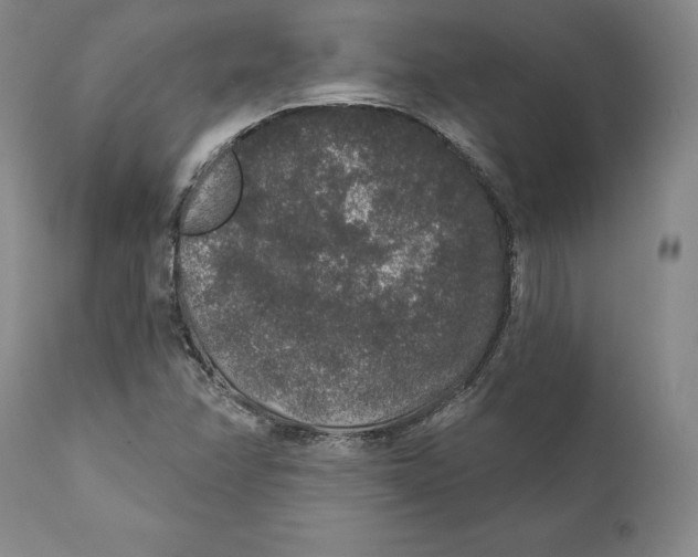 X0000110761358200907061045