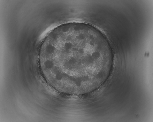 X0000110761359200907061045
