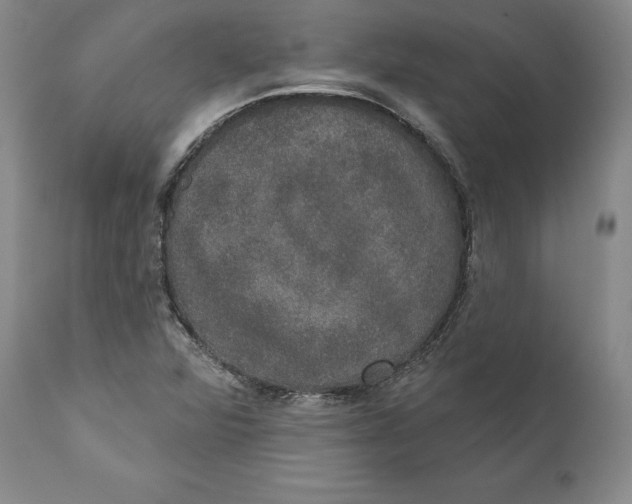 X0000110761360200907061045